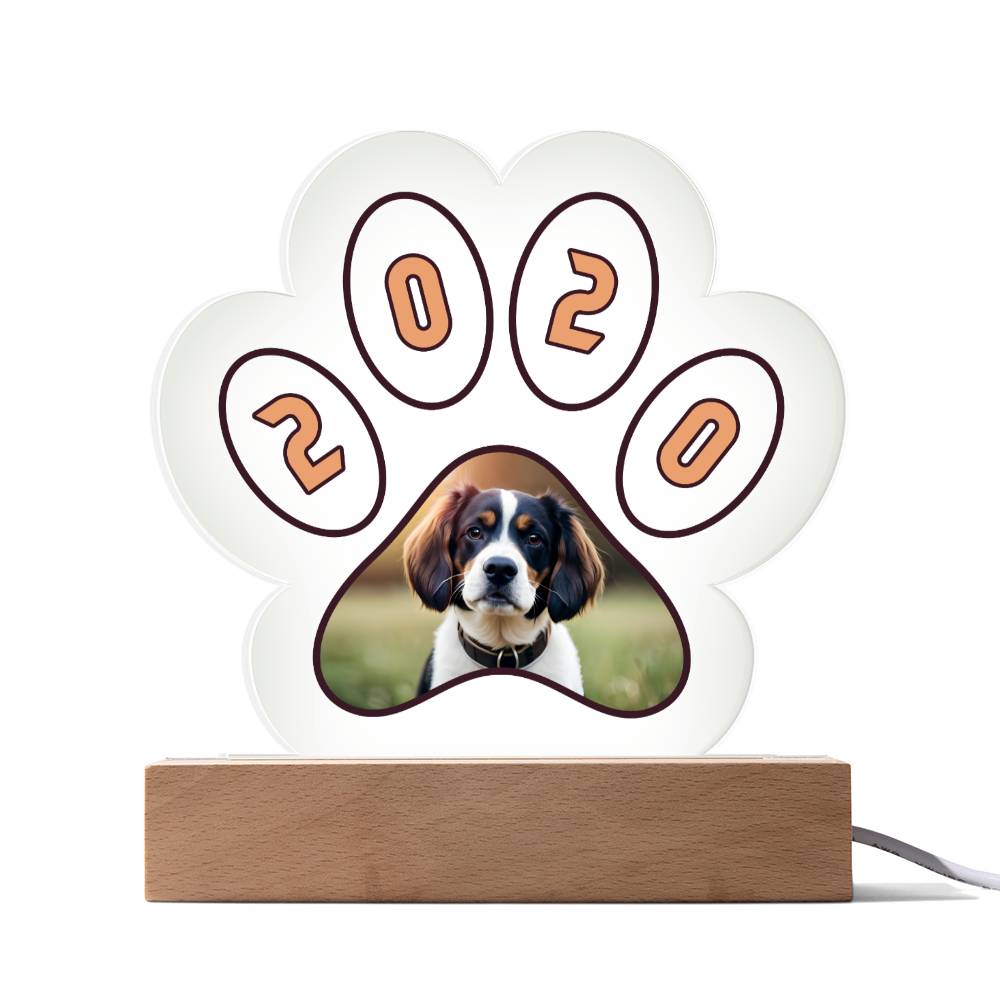 Acrylic Paw Plaque 2020 - Printed Paw Print Acrylic Plaque