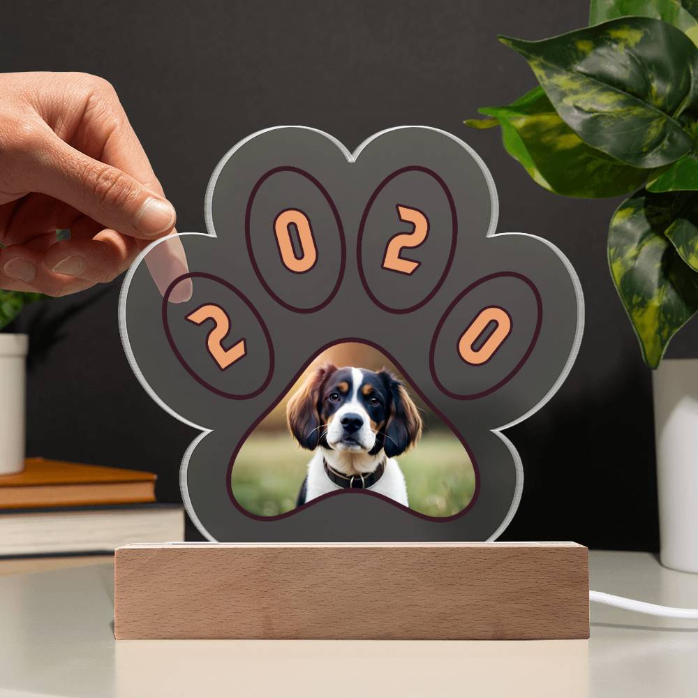 Acrylic Paw Plaque 2020 - Printed Paw Print Acrylic Plaque