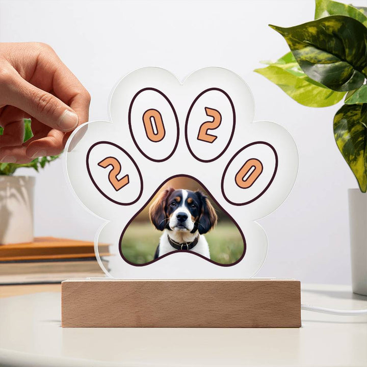 Acrylic Paw Plaque 2020 - Printed Paw Print Acrylic Plaque