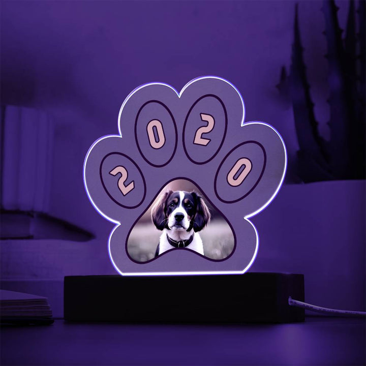 Acrylic Paw Plaque 2020 - Printed Paw Print Acrylic Plaque