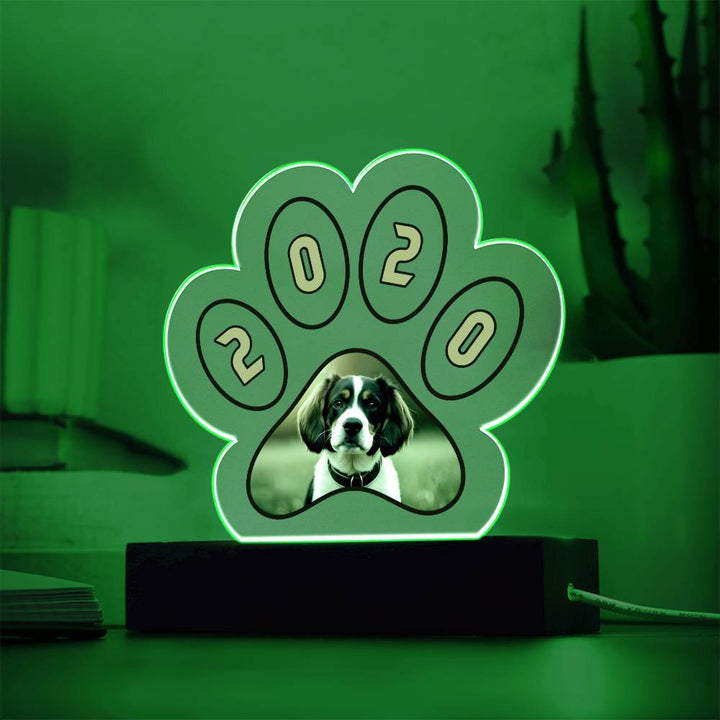 Acrylic Paw Plaque 2020 - Printed Paw Print Acrylic Plaque