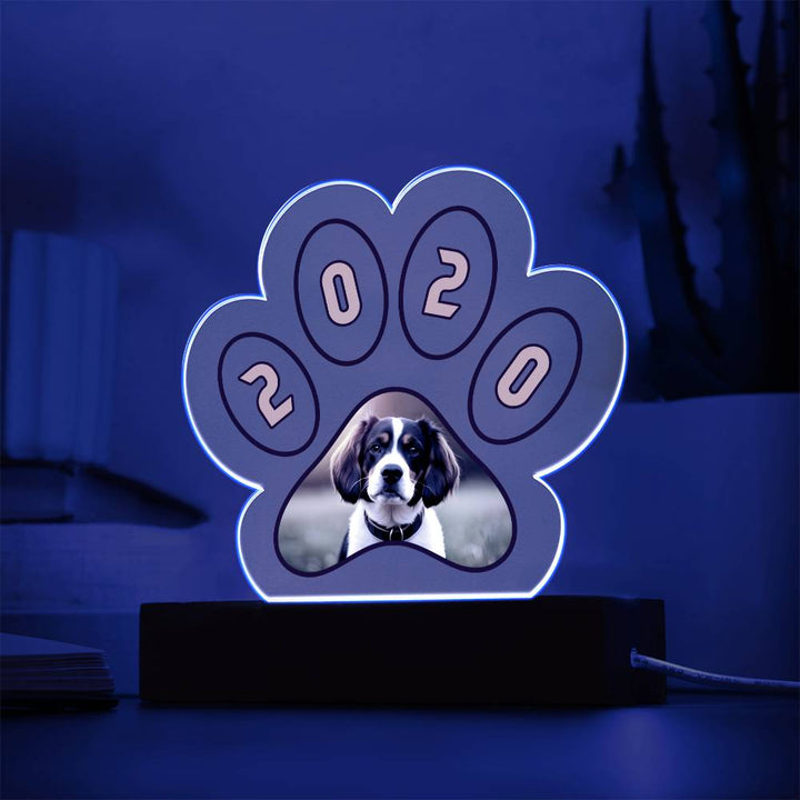 Acrylic Paw Plaque 2020 - Printed Paw Print Acrylic Plaque