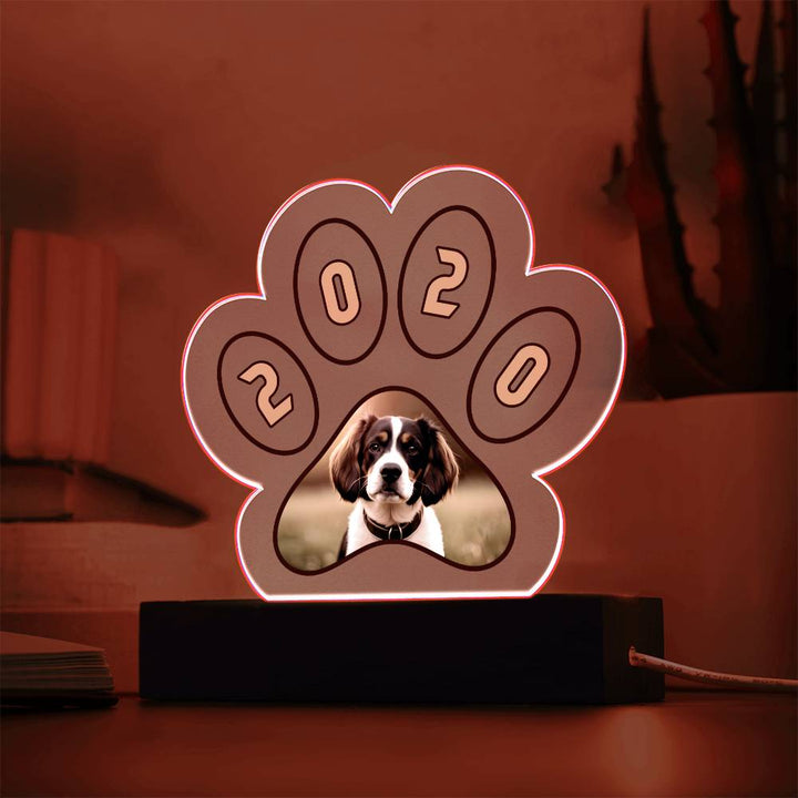 Acrylic Paw Plaque 2020 - Printed Paw Print Acrylic Plaque