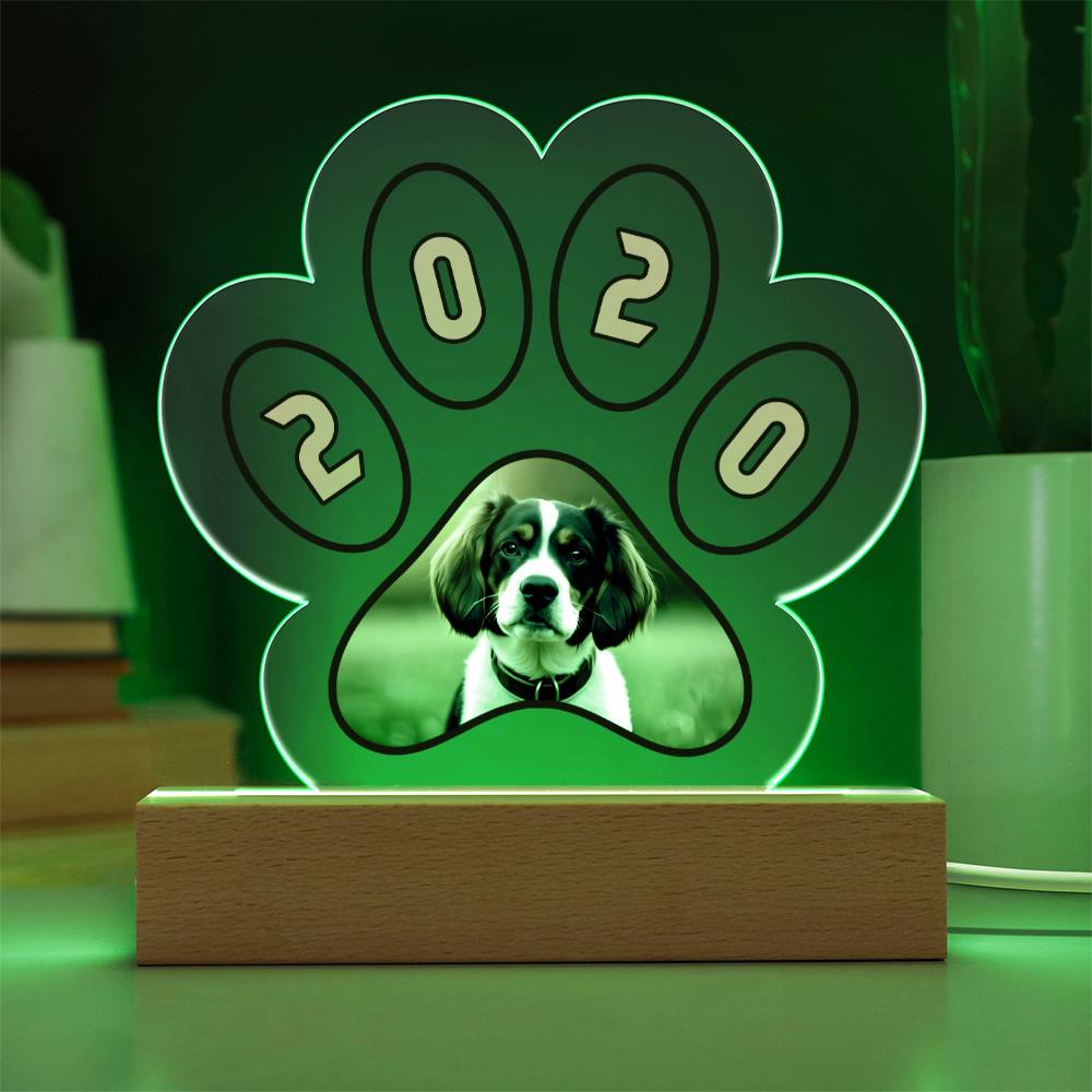 Acrylic Paw Plaque 2020 - Printed Paw Print Acrylic Plaque