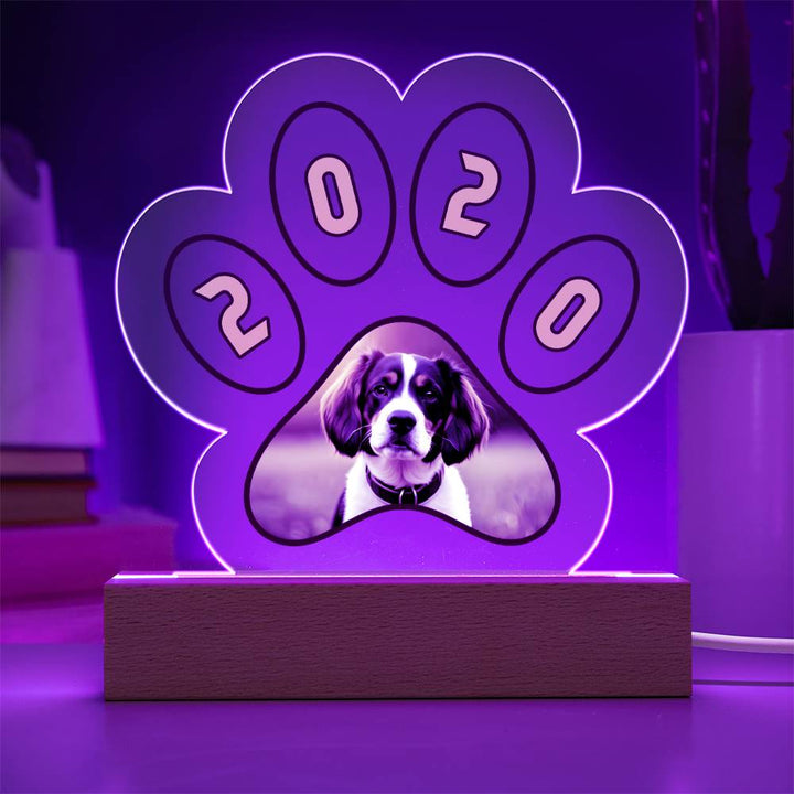 Acrylic Paw Plaque 2020 - Printed Paw Print Acrylic Plaque