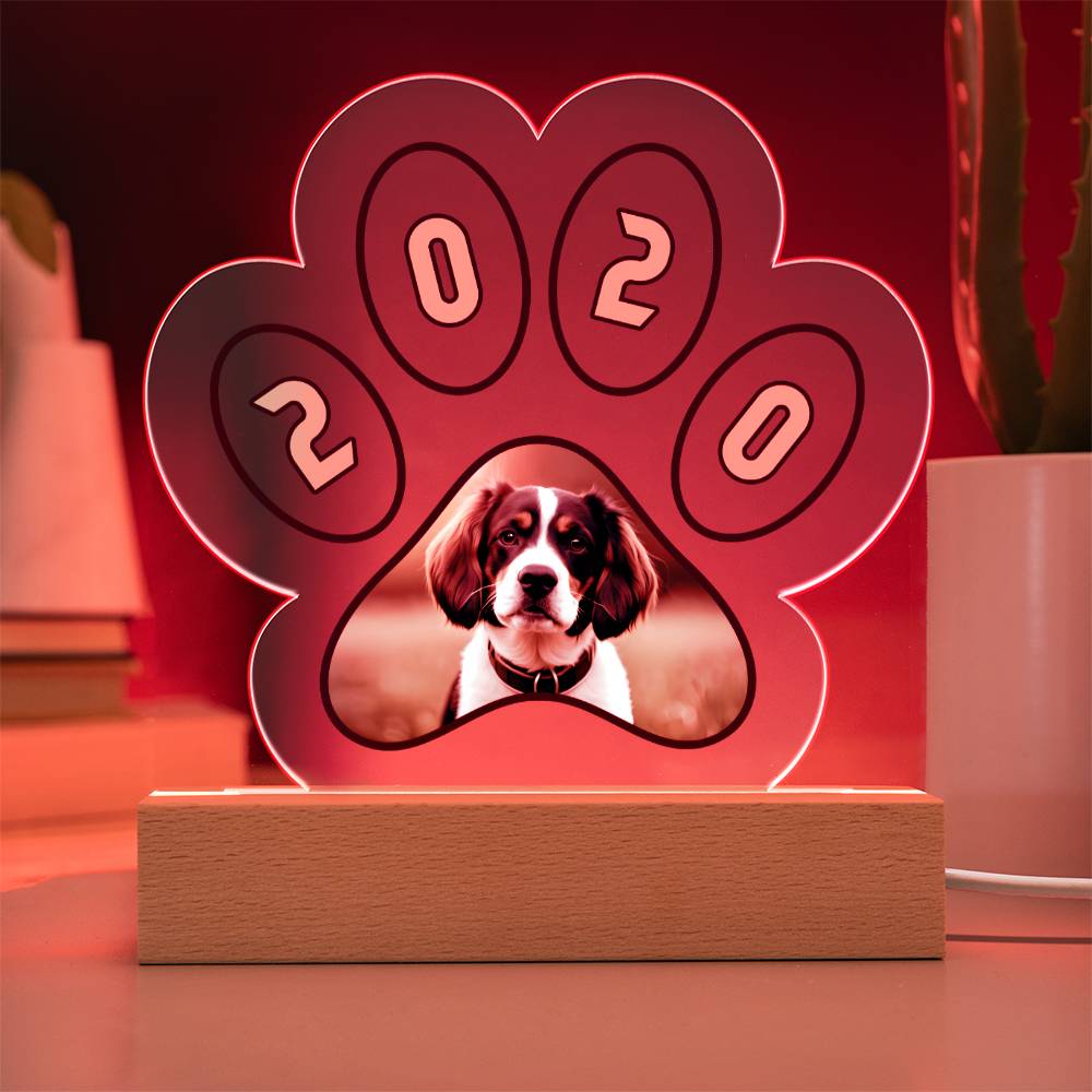 Acrylic Paw Plaque 2020 - Printed Paw Print Acrylic Plaque