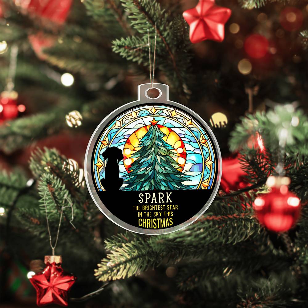 Spark the Brightness Star in the sky this Christmas - Personalized Acrylic Ornament