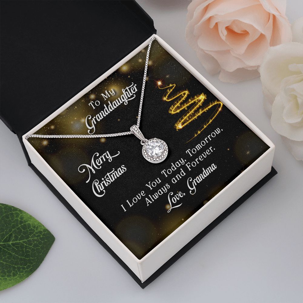 To My Granddaughter | Merry Christmas - Eternal Hope Necklace