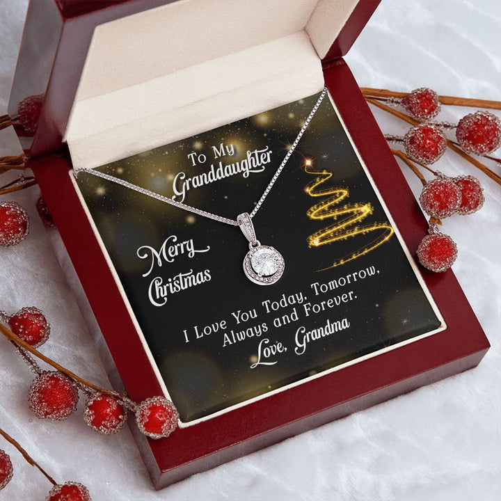 To My Granddaughter | Merry Christmas - Eternal Hope Necklace