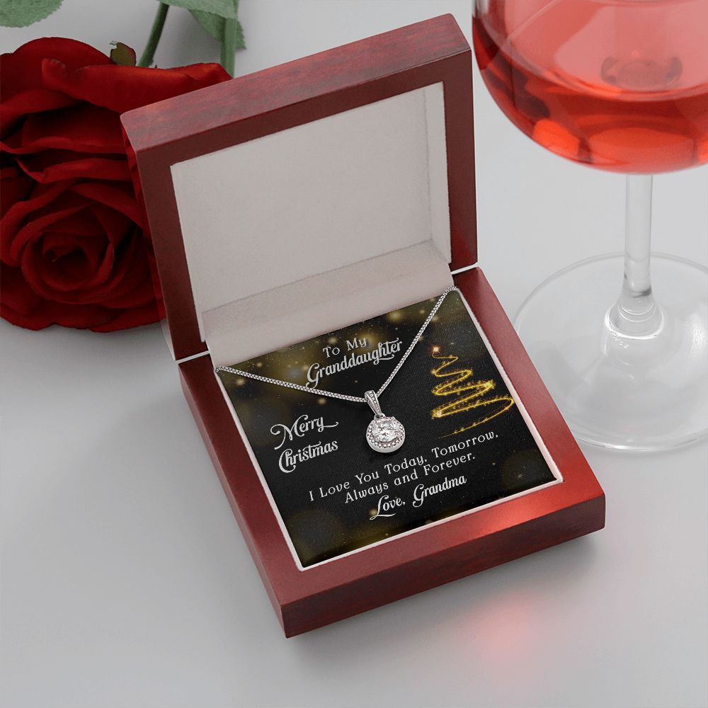 To My Granddaughter | Merry Christmas - Eternal Hope Necklace