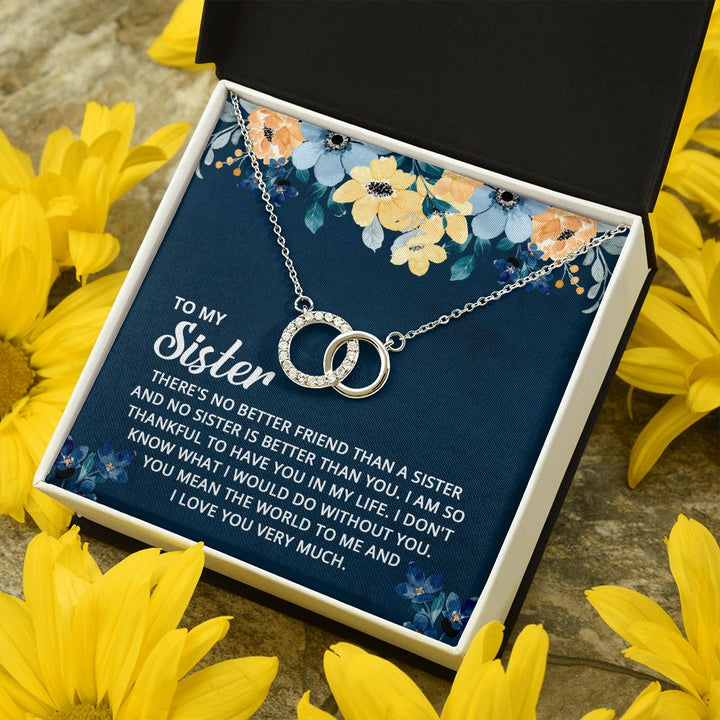To My Sister | I don't know what I would do without you - Perfect Pair Necklace