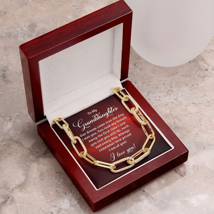 To My Granddaughter | Our dream came true the day I met you - Forever Linked Necklace