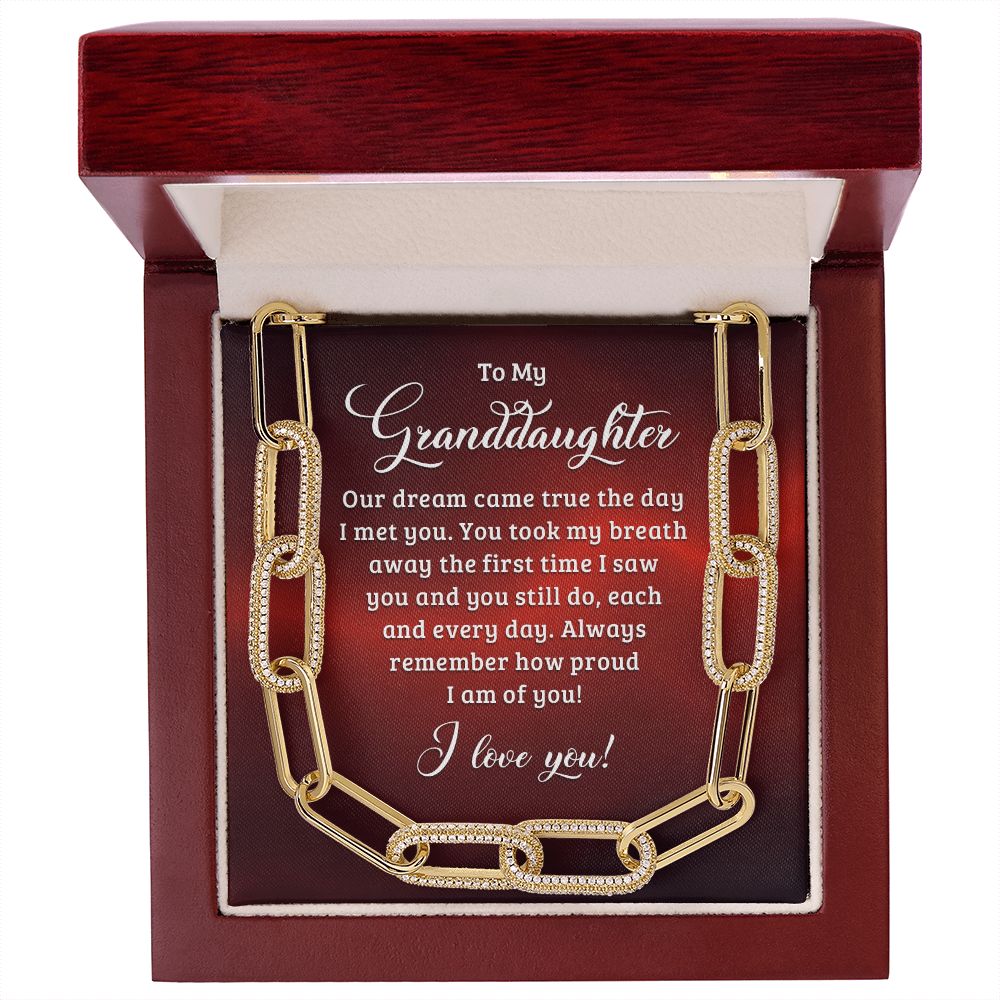To My Granddaughter | Our dream came true the day I met you - Forever Linked Necklace
