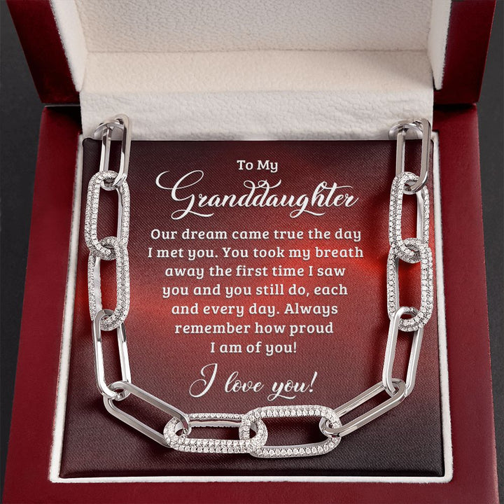 To My Granddaughter | Our dream came true the day I met you - Forever Linked Necklace